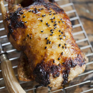 Granadilla-Duck