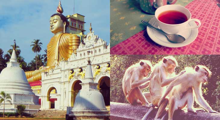 Srilanka_5
