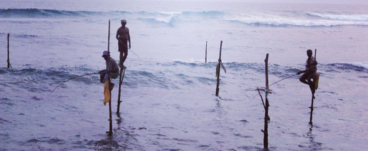 web_fishing_Sri Lanka