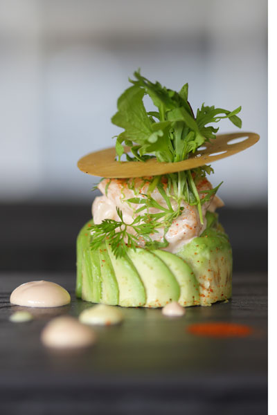 avocado recipes
