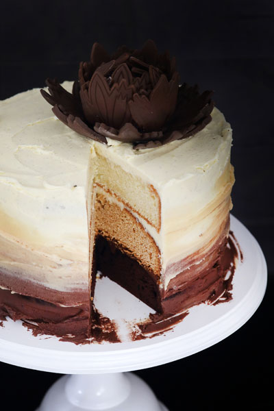 The Velvet Cake Co. Slices Recipe Triple Layer Ombre Cake
