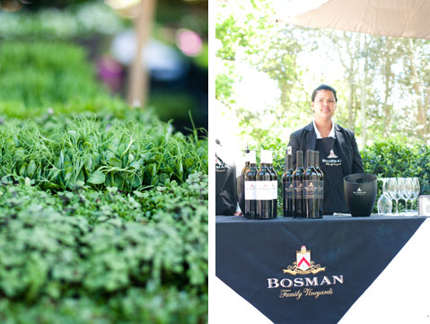 Bosman Family Vineyard | Crush Magazine