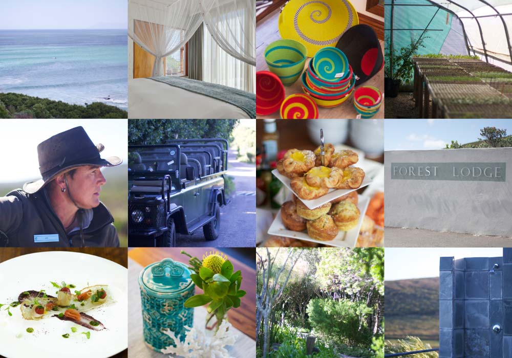 Grootbos Private Nature Reserve