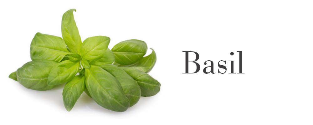 kitchen herbs