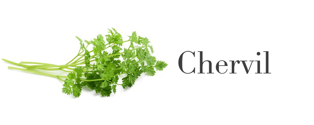 kitchen herbs