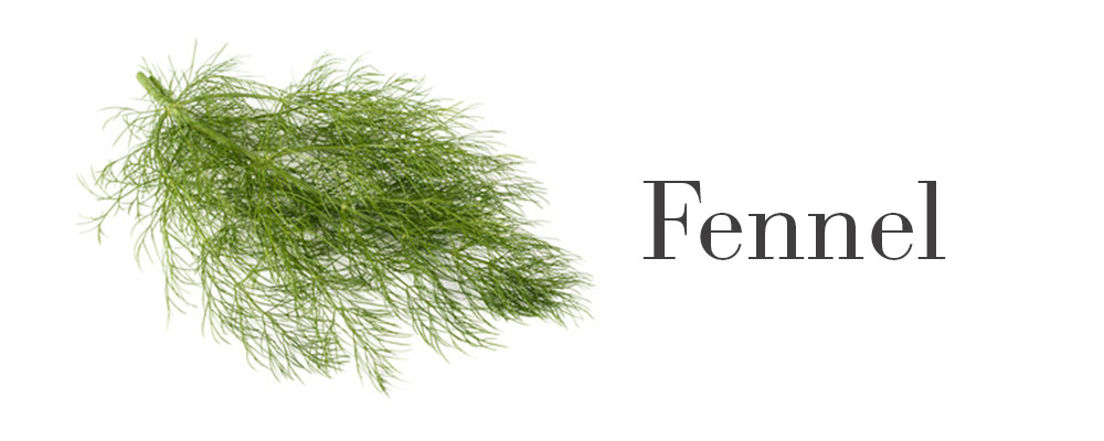 kitchen herbs