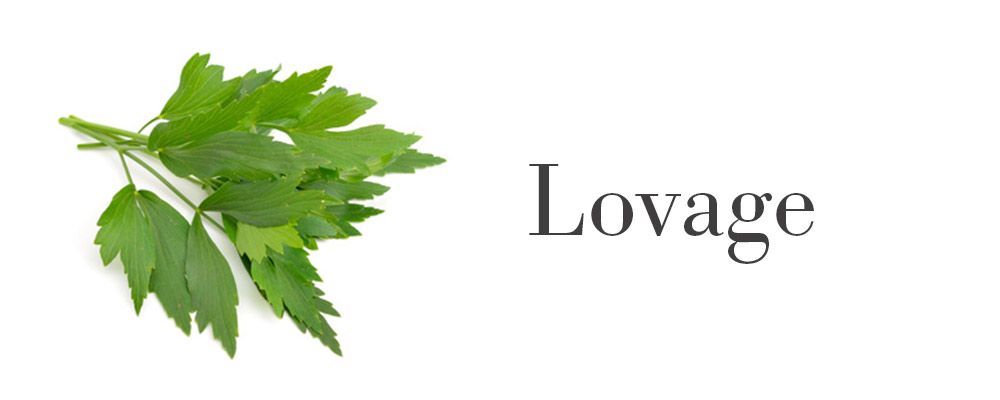 kitchen herbs