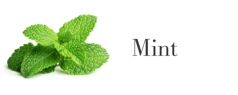 kitchen herbs