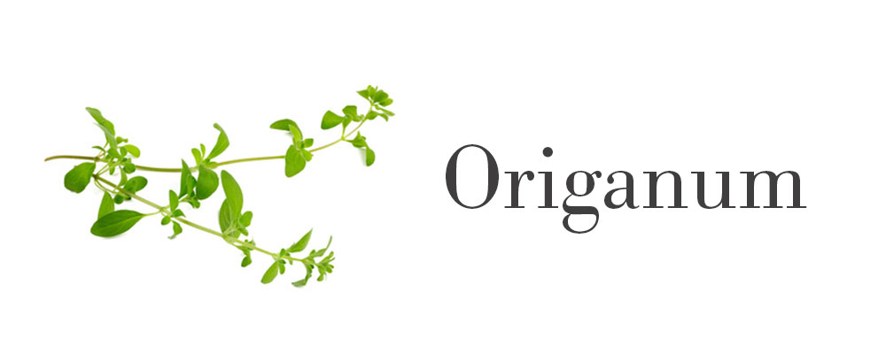 kitchen herbs