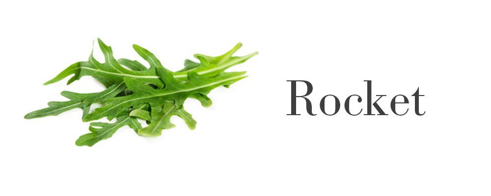kitchen herbs
