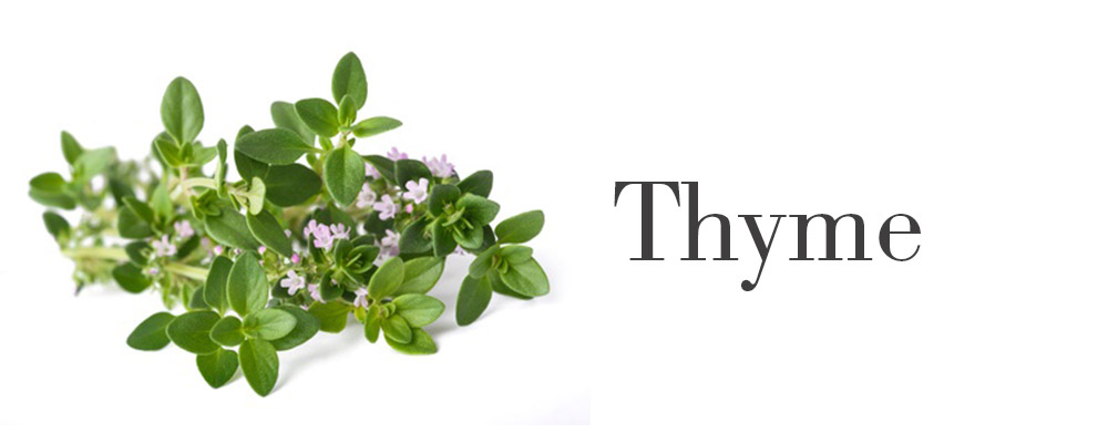 kitchen herbs