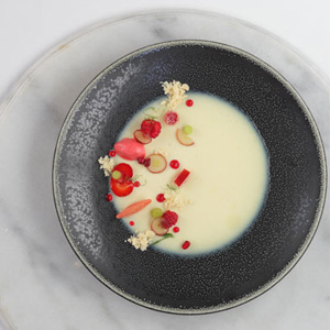 pannacotta