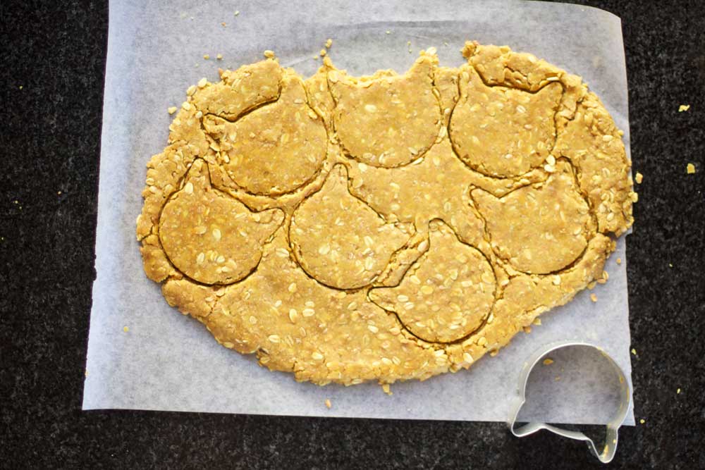 Turmeric Doggie Biscuits
