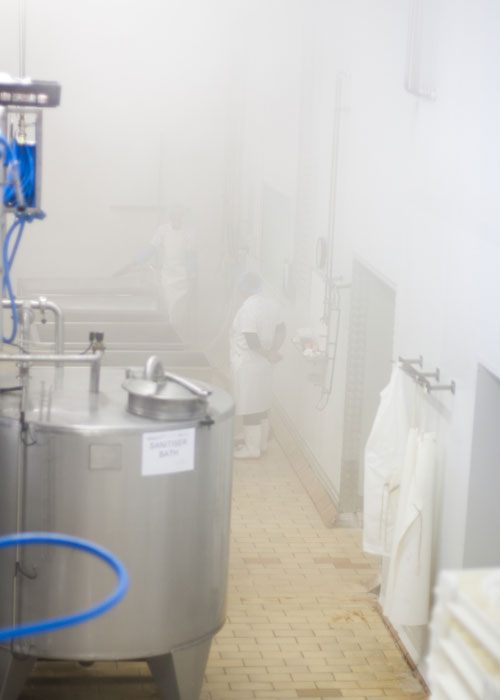 cheese making at fairview