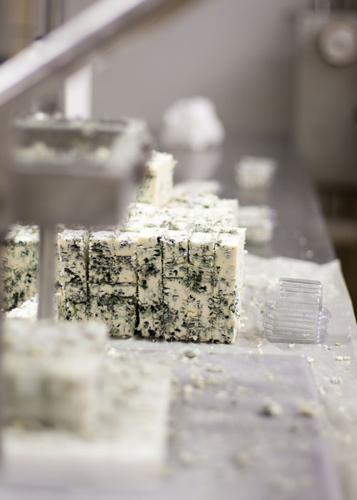 cheese making at fairview