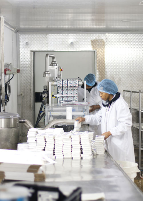 cheese making at fairview