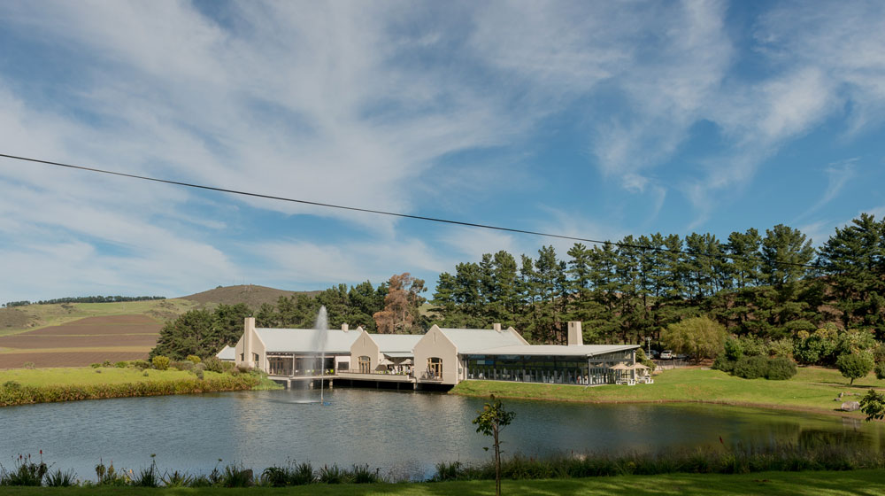 Nitida Wild Child Wine