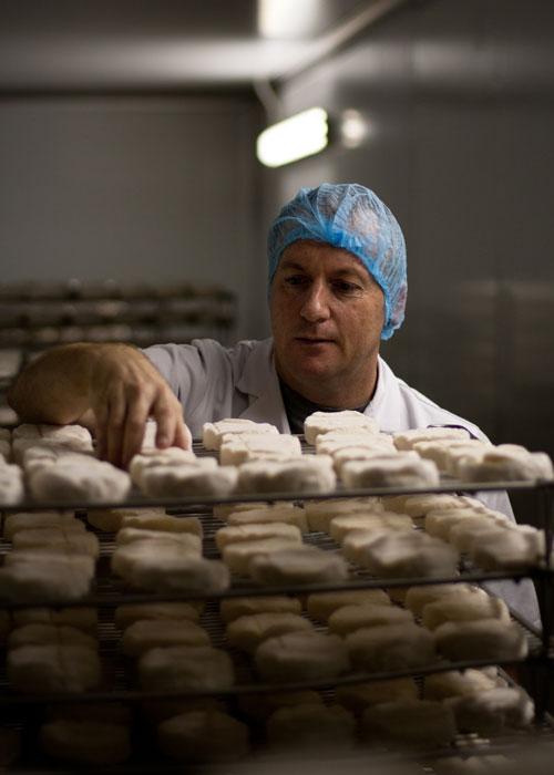 cheesemaking at fairview