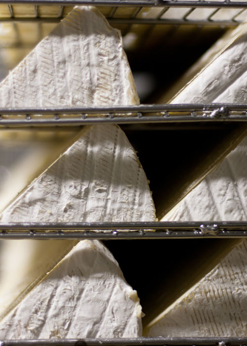 cheese making at fairview