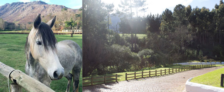 Grand Dédale Country House