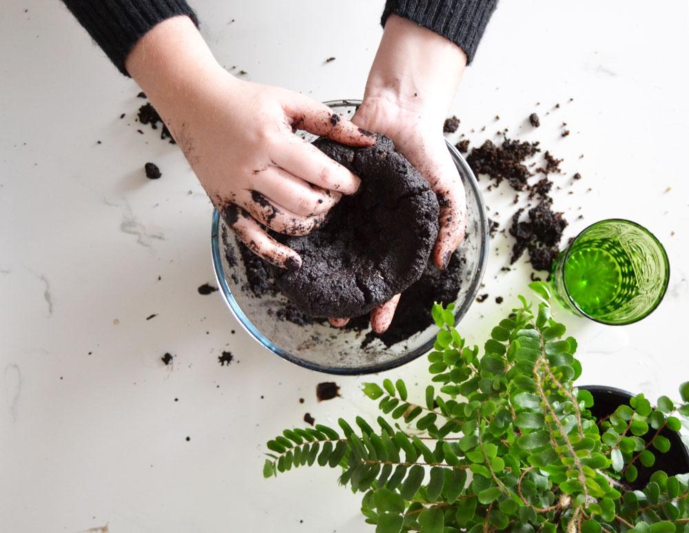 DIY How to make a Kokedama