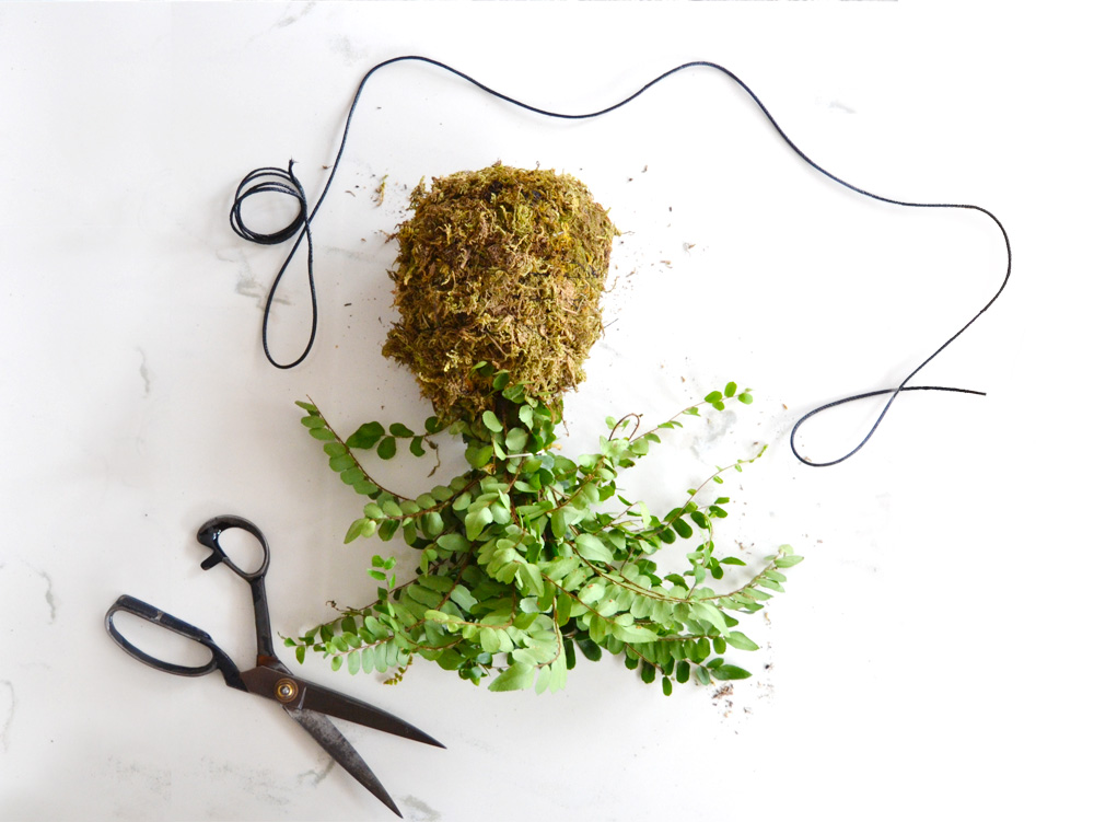 DIY How to make a Kokedama