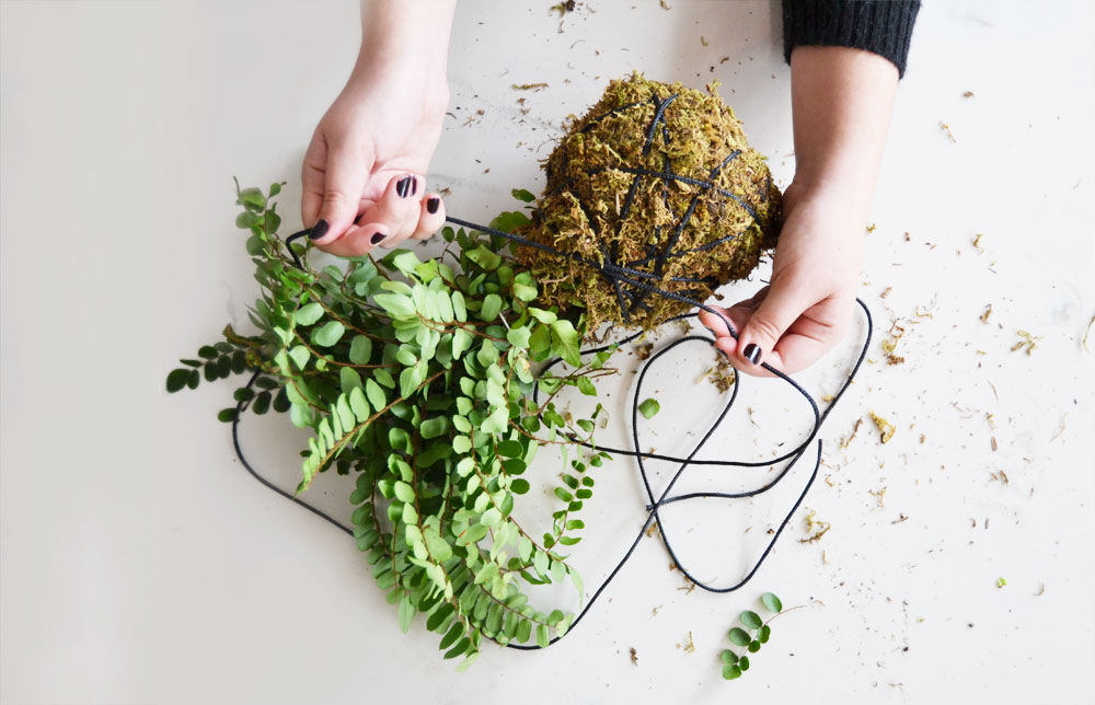 DIY How to make a Kokedama