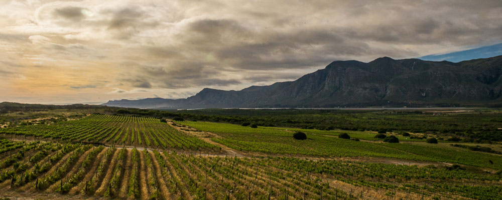 Springfontein Stanford Wine Route