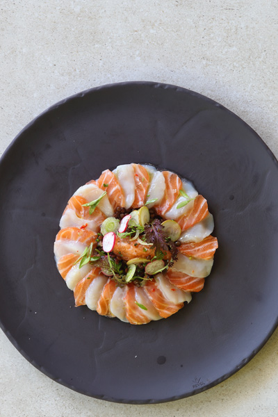 salmon recipes 4x6