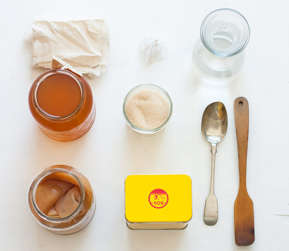 Ingredients-Kombucha