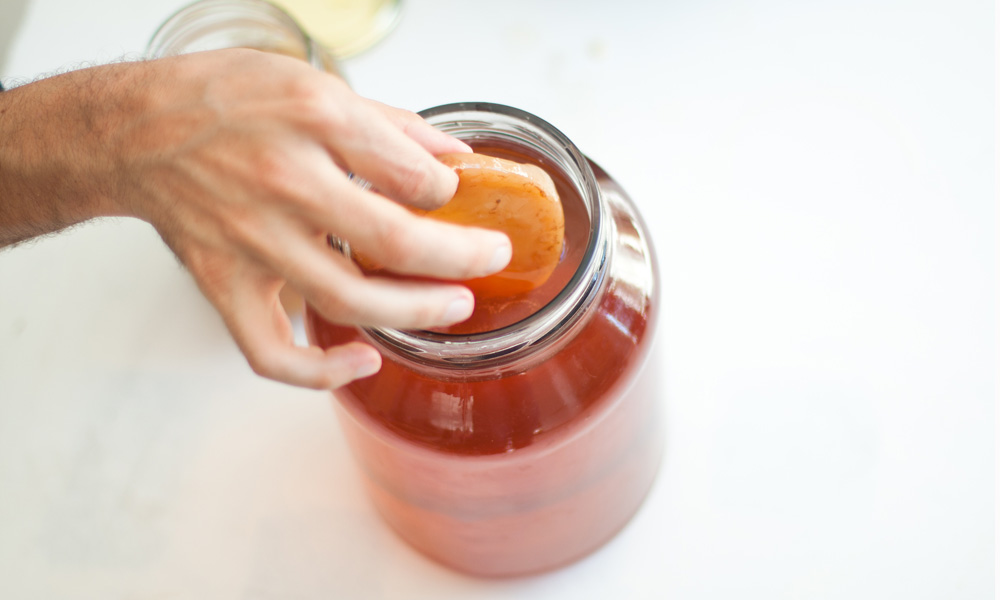 Kombucha-Adding-SCOBY-