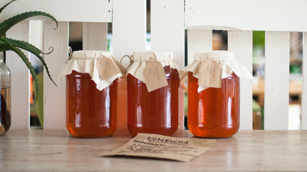 Making your own Kombucha