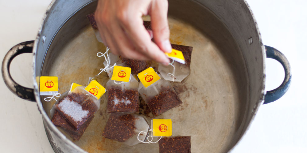 Making Rooibos Kombucha