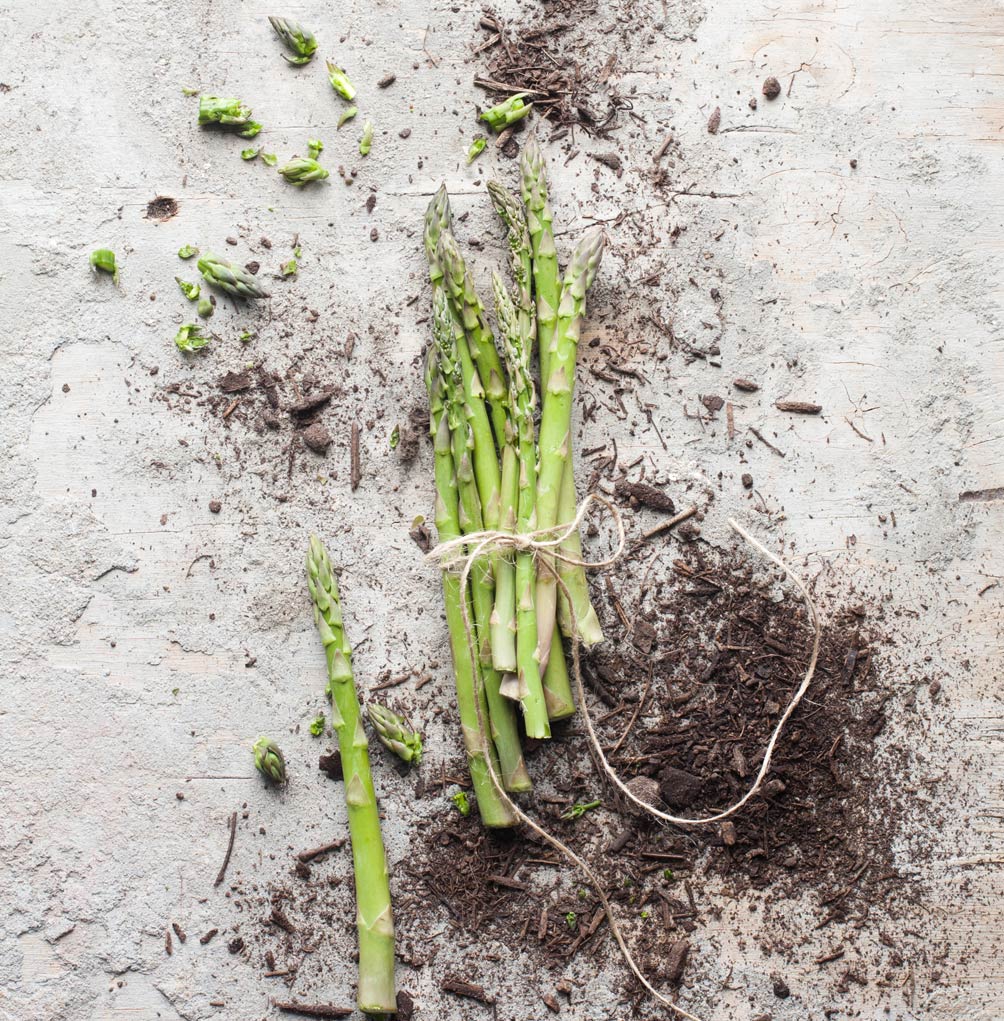 asparagus