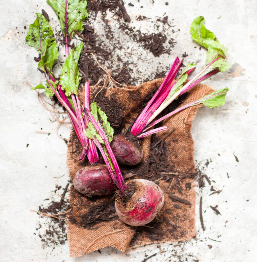 beetroot
