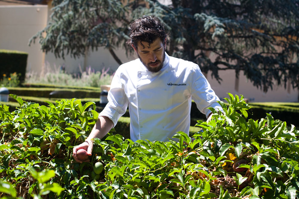 Chef_Mike_Cooke_in_vegetable_garden_Vergelegen