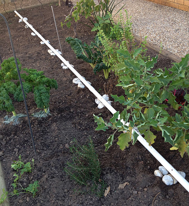 Building a Grey water system 