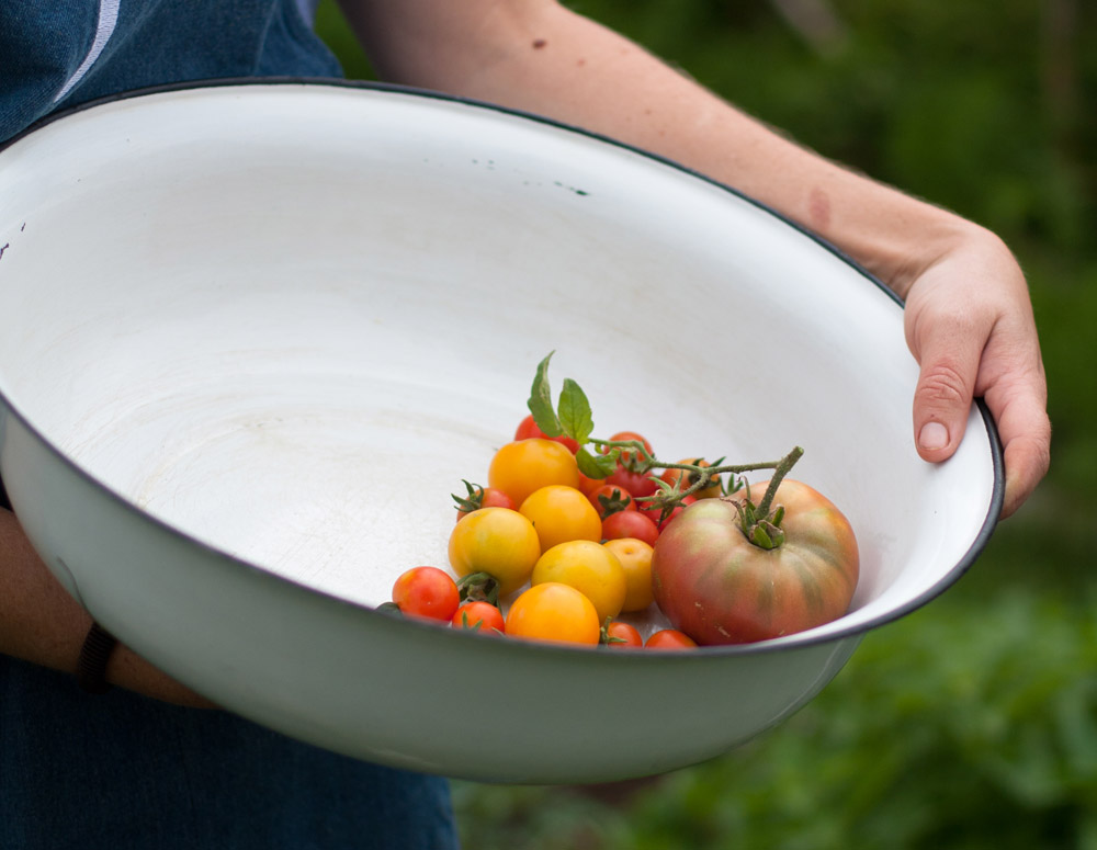 The_Table at De Meye_-tomatoes