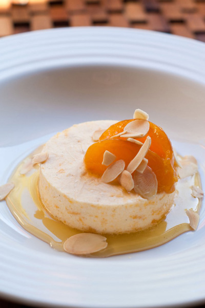 Frozen Dessert - Frozen Apricot with Ginger Nuts yoghurt recipe