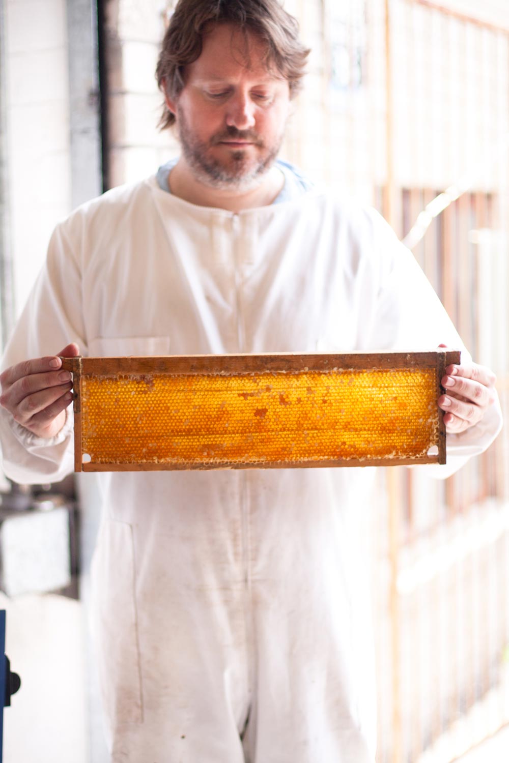 urban Beekeeping Gardeners Glory Honey