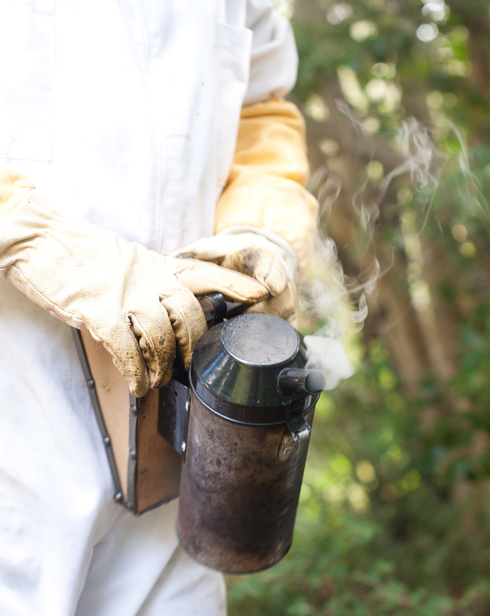 Urban Beekeeping
