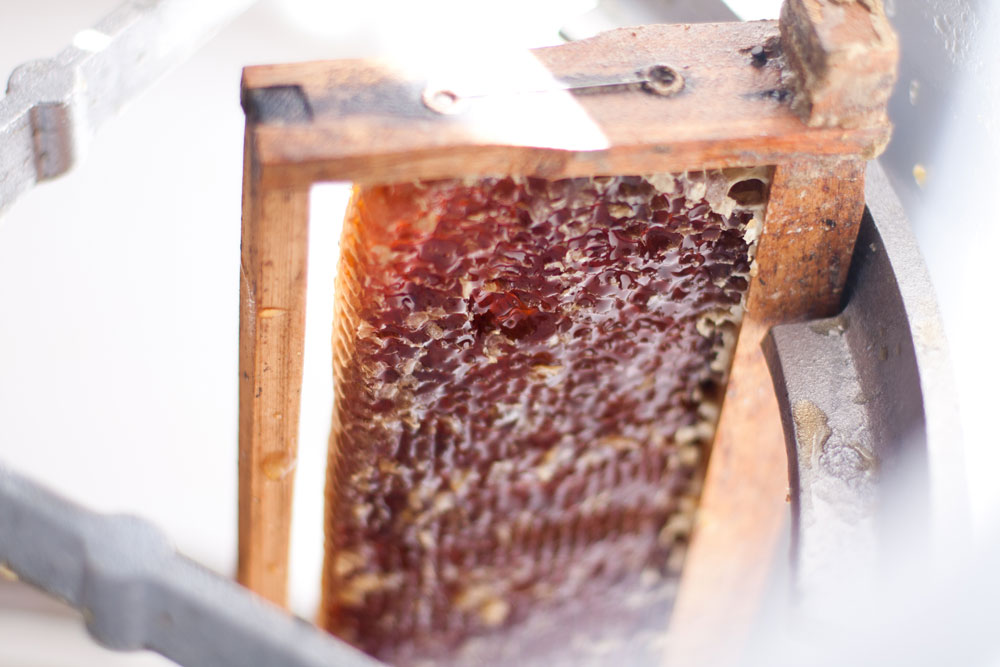 urban Beekeeping Gardeners Glory Honey