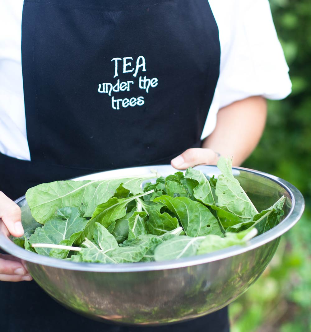 Tea-under-the-trees