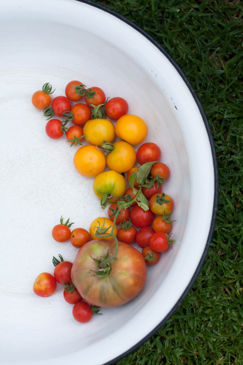 Tomatoes-Table-at-De-Meye