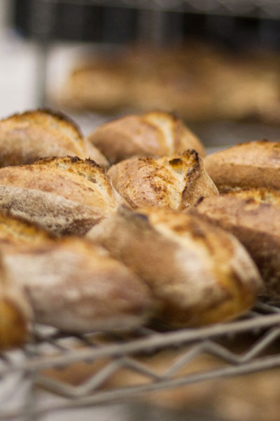 Different Kinds of Breads