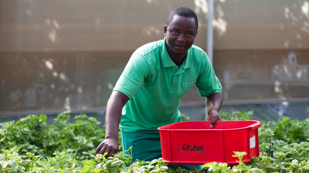 Delaire Graff Gardener Jerry