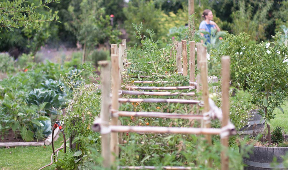 The garden at Table at De Meye