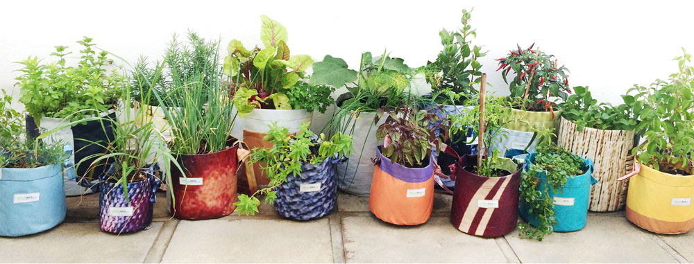 growbag-planters