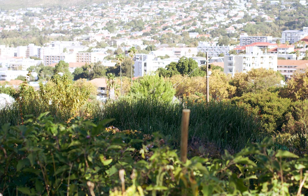 City of Eden