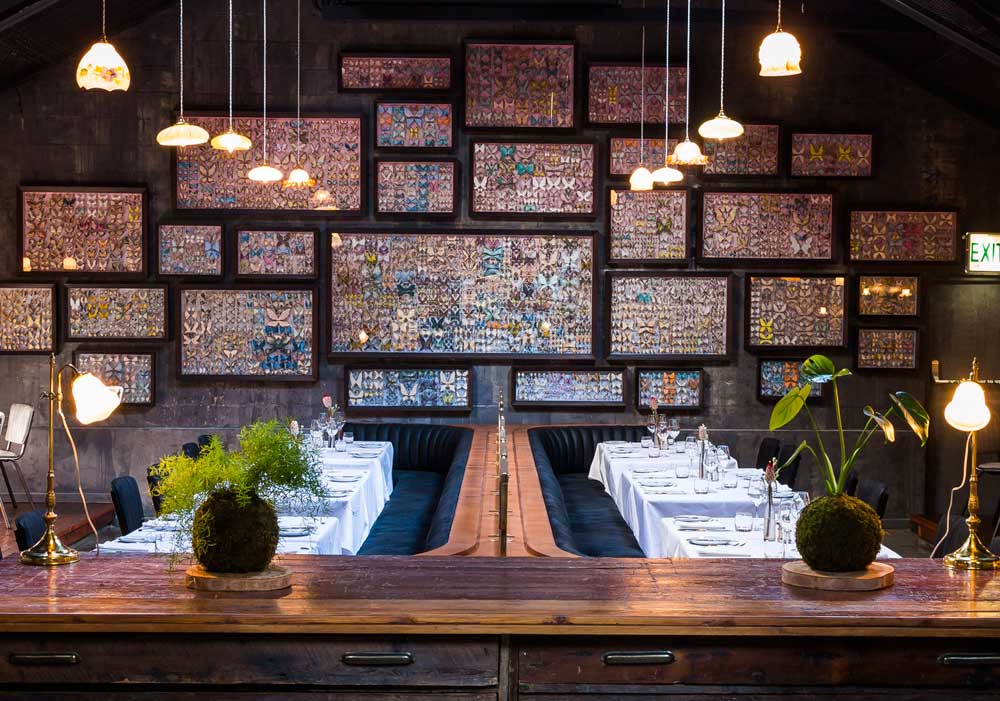 A First Look at The Shortmarket Club